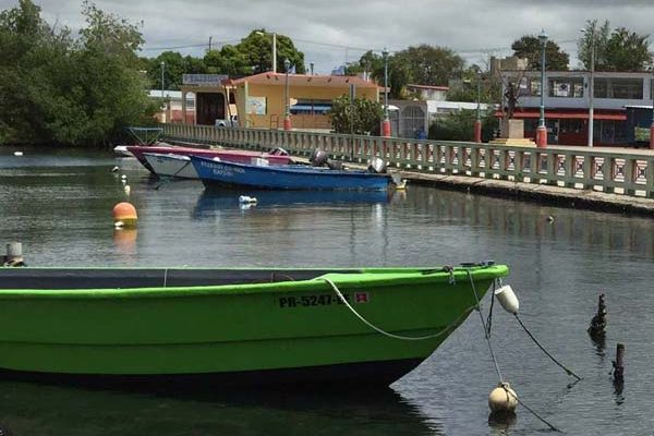 There’s Something in the Waters of Puerto Rico’s Guánica Bay